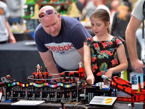 Supporting image for story: Sold out model brick show in aid of young patients beats fundraising target 