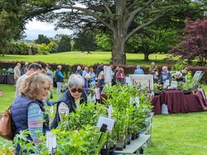 Supporting image for story: Bank Holiday Plant Fair returns to Arley Arboretum