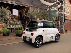 Supporting image for story: The Citroen Ami Cargo is a teeny-tiny delivery van