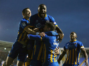 Supporting image for story: Shrewsbury Town 1 Blackpool 0 - Report and pictures