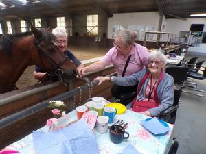 Supporting image for story: Badgeworth Court residents enjoy tea with a pony