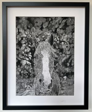 Poppy's charcoal work