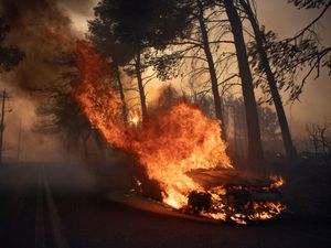 Supporting image for story: Drop in winds offers hope as Greek firefighters battle Athens wildfire