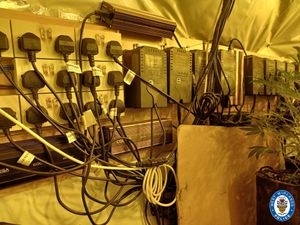 Large numbers of electricity sockets were found at the properties. Photo: West Midlands Police