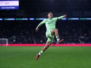 Supporting image for story: Albion road to the play-offs Part 2 - Into the top six and there Baggies stayed