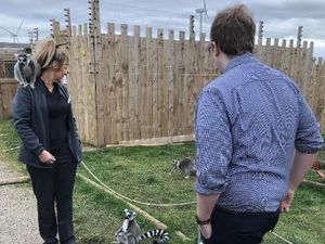 Supporting image for story: Co-op store to donate surplus food to animals