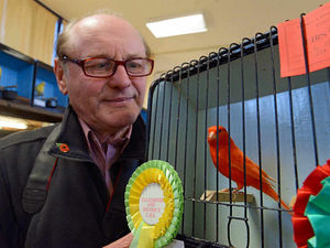 Supporting image for story: Fans flock to Ellesmere bird show