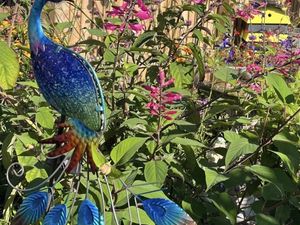 Supporting image for story: Opening a garden for the National Garden Scheme for the first time can be a daunting prospect, say organisers