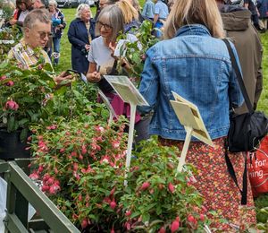 Cholmondeley Castle Gardens Summer Plant Hunters' Fair