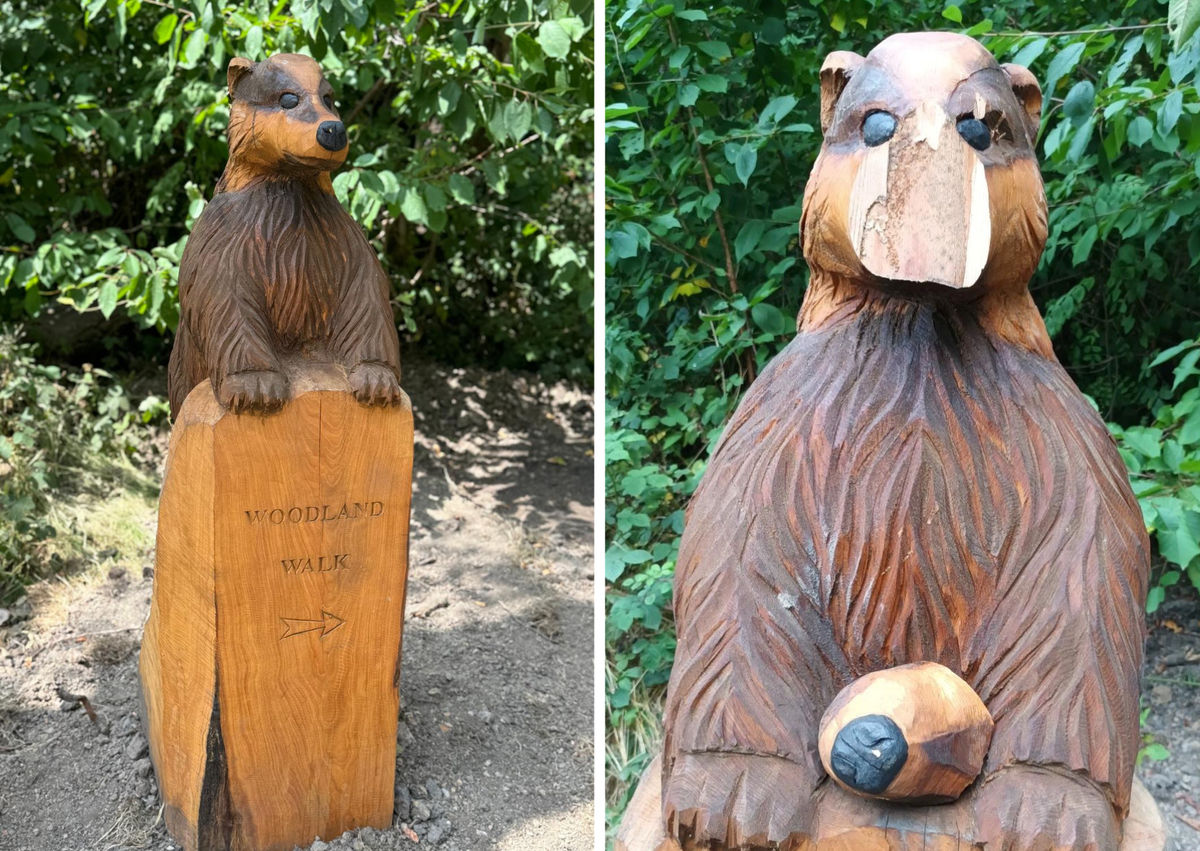 Heartbreak as Walsall woodland badger sculpture damaged by senseless vandals one month after installation