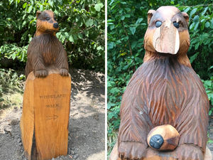 Supporting image for story: 'Heartbreak' as Walsall woodland badger sculpture damaged by 'senseless' vandals one month after installation