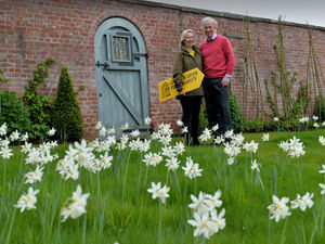 Supporting image for story: Beautiful Bridgnorth garden prepares to open for charity