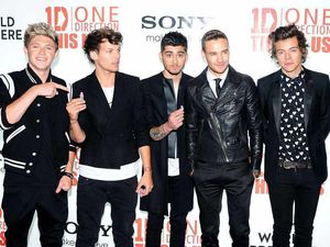 Supporting image for story: One Direction T-shirt faker made £61,000