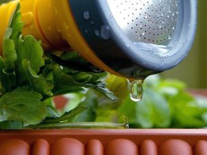 Supporting image for story: Peter Rhodes on hosepipes, heatwaves and conversations that end with 'off!'