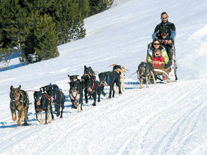 Supporting image for story: Catch up on all the latest from our Weekend supplement