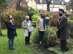 Supporting image for story: Tree tribute to community efforts amid pandemic