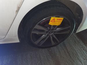 One of the tyres which had been stung. Photo: CMPG