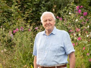 Supporting image for story: David Attenborough’s 100th birthday to be celebrated with three new shows