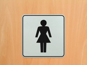 Supporting image for story: Barclays confirms trans women to be barred from using ladies’ toilets