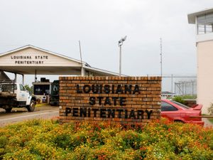 Supporting image for story: US state’s legislators approve surgical castration option for paedophiles