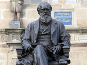 Supporting image for story: What about a ‘nonument’ to those who bettered daily life?