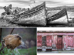  Amazing award-winning images from Newport Photographic Club