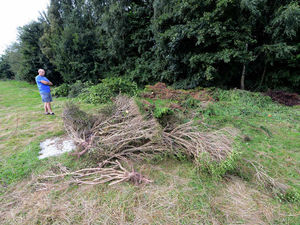 Supporting image for story: Angry scenes at traveller camp