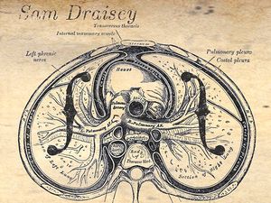 Supporting image for story: Album Review: Sam Draisey - As I Live And Breathe
