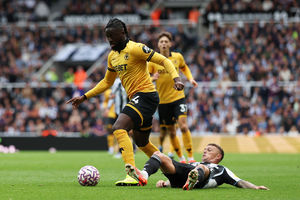 Supporting image for story: Wolves Fans' Verdict v Newcastle: A better performance but the same result