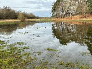 Supporting image for story: Farmers facing thousands in costs as February sees record rain and temperatures