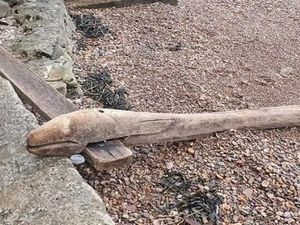 Supporting image for story: Wooden eel stolen from Bridgnorth country park found on beach 100 miles away
