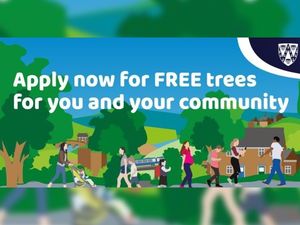 Supporting image for story: Free trees for Shropshire residents and landowners in environment scheme
