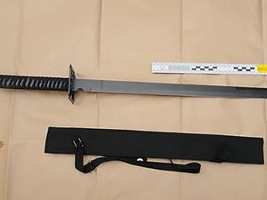 Supporting image for story: Ninja sword seized after two teenagers arrested in Birmingham