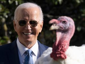 Supporting image for story: Joe Biden begins final White House holiday season with turkey pardons
