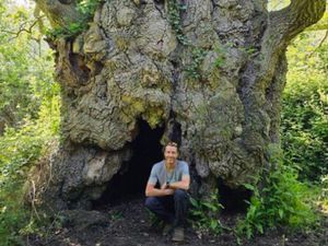 Supporting image for story: Martin makes a pilgrimage of ancident trees in a cross Britain walk with a difference