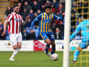 Supporting image for story: Shrewsbury 1 Stoke City 1 - Report and pictures