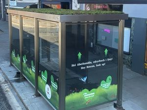 Supporting image for story: 'Our bus shelters are alive!' - How roofs of Powys stops are being turned into mini gardens