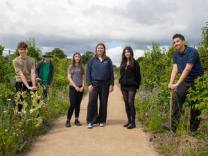 Supporting image for story: Anwyl helps remove barriers to work experience at Attingham Park