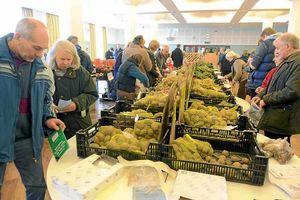 Enthusiasts enjoy the Potato Day spectacle at Harper Adams