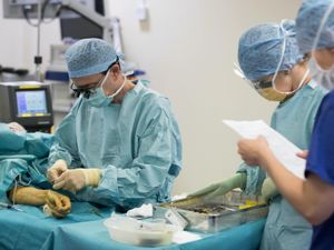 Supporting image for story