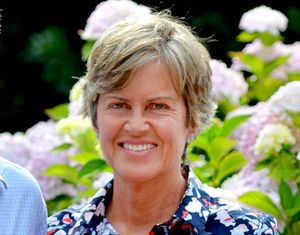 Supporting image for story