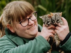 Telford Exotic Zoo Keeper Kirsten Massey with new arrivals, Jelly and Jam