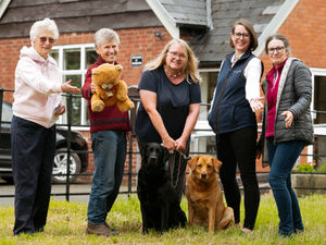 Supporting image for story: Magna-ificent – Village prepares for fun day and dog show, with special guests 'The Teddy Bear Ladies'