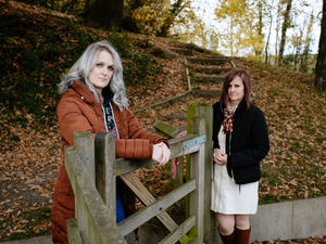 Supporting image for story: 'We share our world, we don't own it': Campaign for tighter firework restrictions after death of Shropshire girl's horse