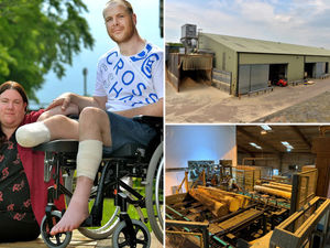 Supporting image for story: Major wood firm fined £160,000 after Shropshire sawmill worker lost leg in horror accident at work