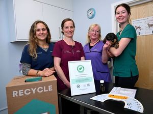 Supporting image for story: Shrewsbury vet practice’s environmental efforts recognised with Green award