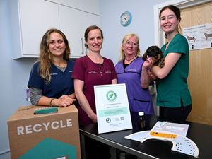 Supporting image for story: Shrewsbury vet practice’s environmental efforts recognised with Green award
