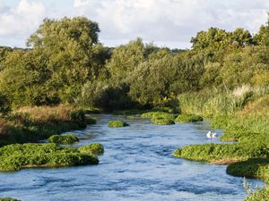 View of the Dorset Frome chalk stream habitat