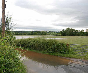 Another view of the flooding at Eastham. Photo: Frances Meier.