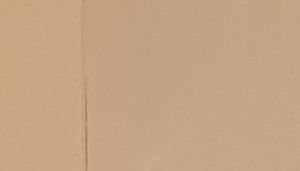 Panel discussion on improving plastic's image at the PDM event